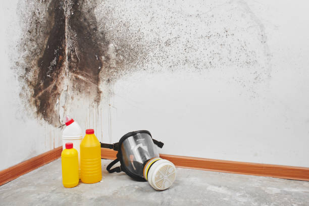 Best Crawl Space Mold Removal  in Providence, UT